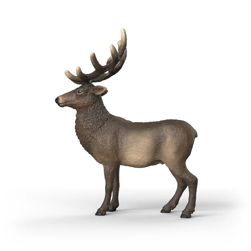 Schleich American White-tailed Deer
