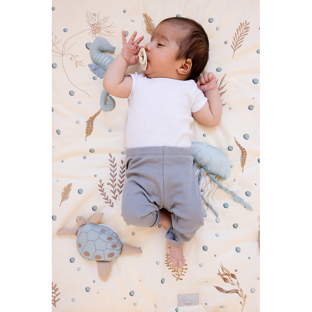 Cam Cam Activity Toy, Tummy Time Mirror - Sea Garden