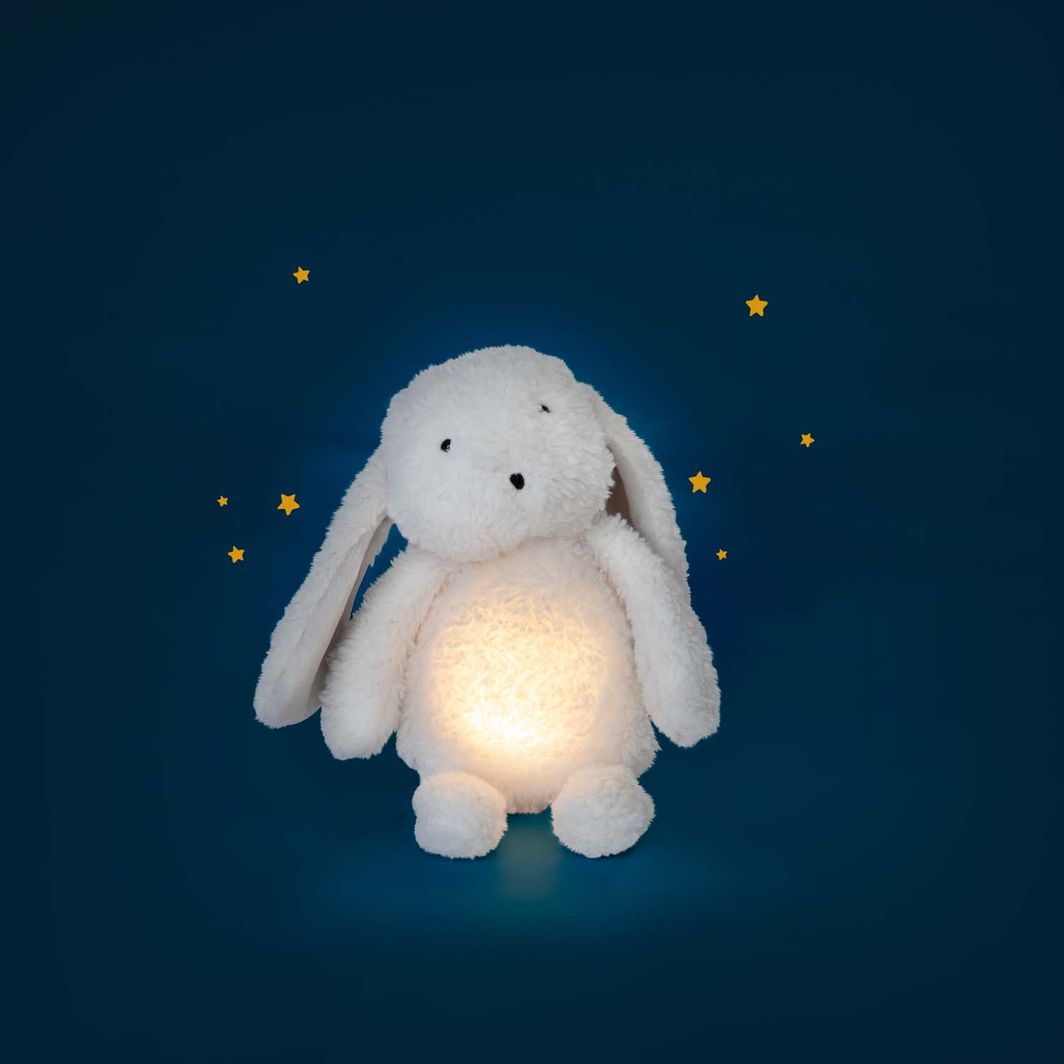 Moulin Roty Plush Toy, Glowing Rabbit - Puce & Pilou