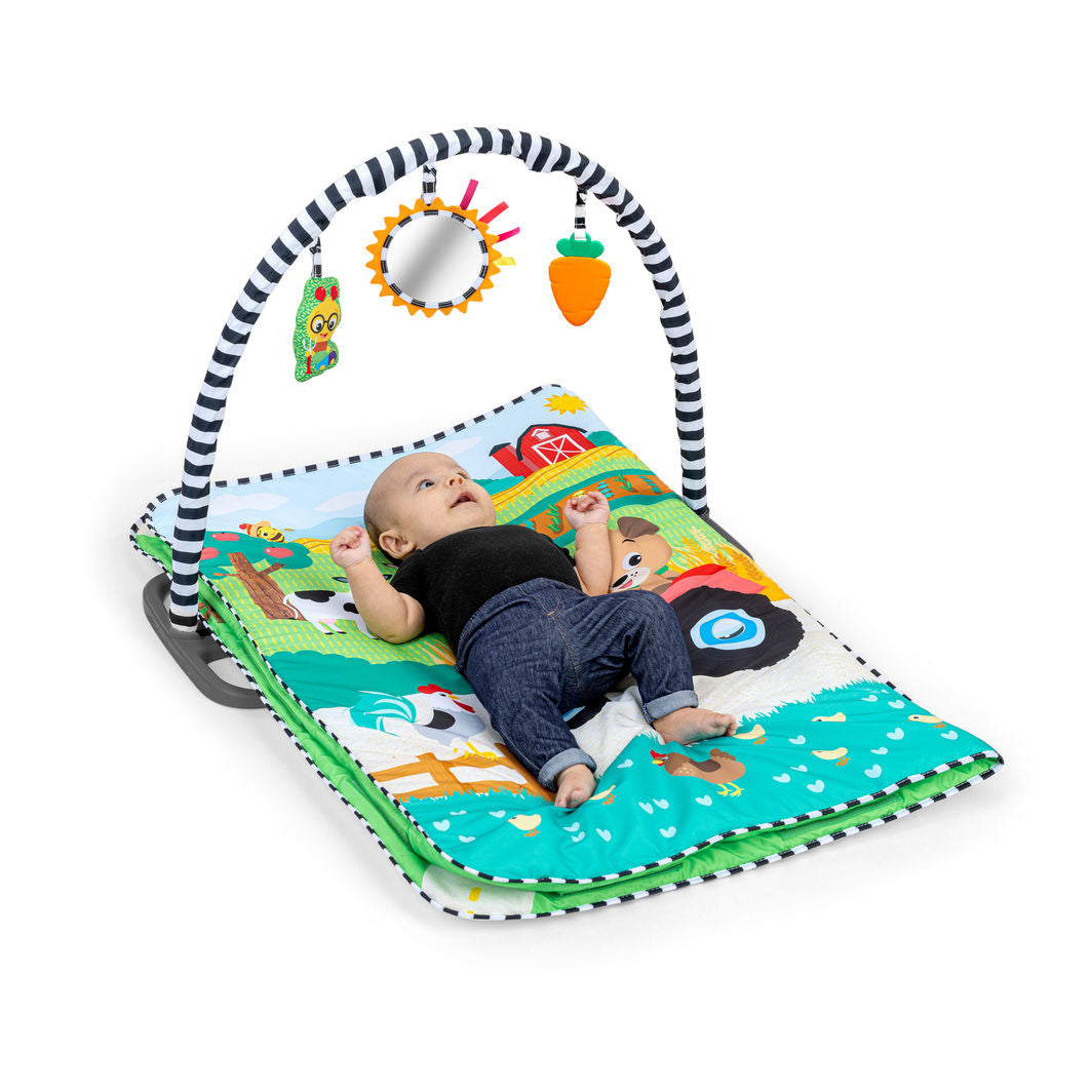 BABY Einstein Busy Barnyard™ Multifunctional Activity Playmat