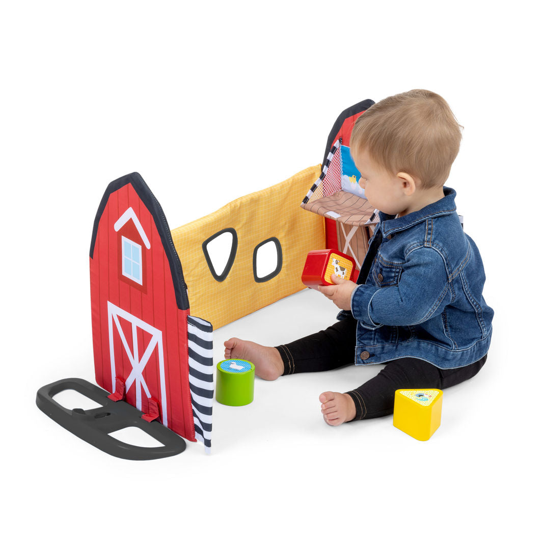 BABY Einstein Busy Barnyard™ Multifunctional Activity Playmat