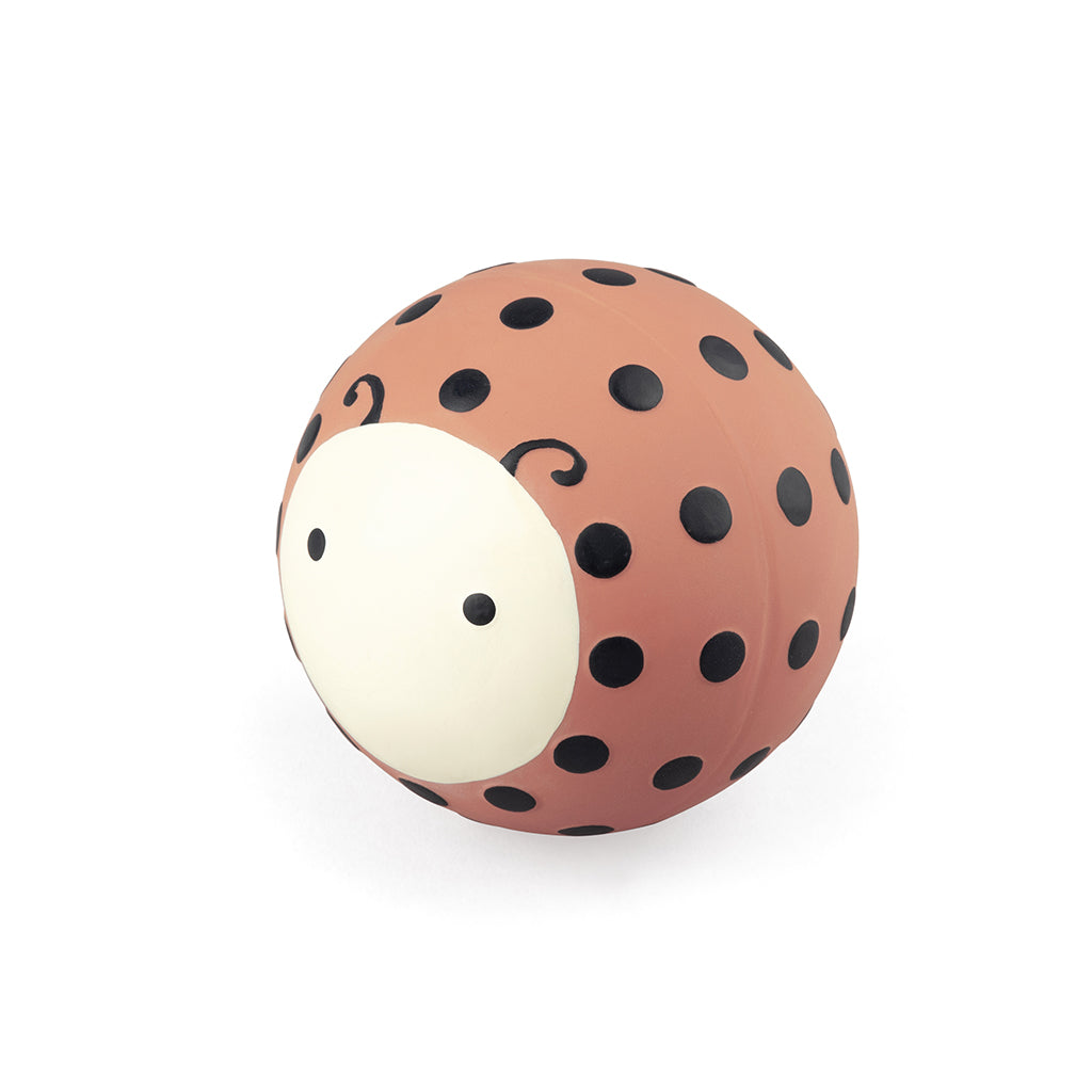 Sebra Bath Toy, Ladybug Beach Ball - Natural Rubber Latex