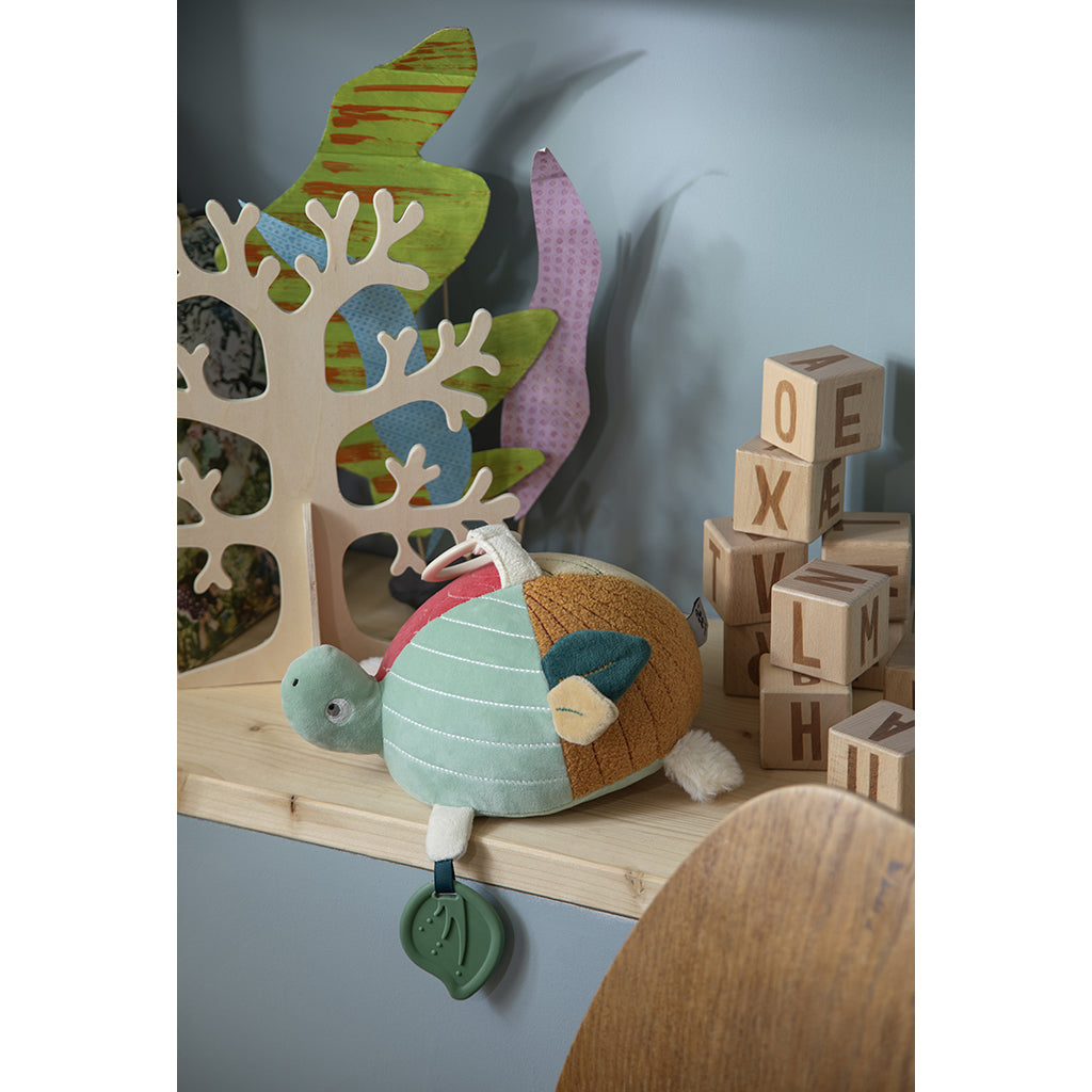 Sebra Activity Toy, Turbo the Turtle