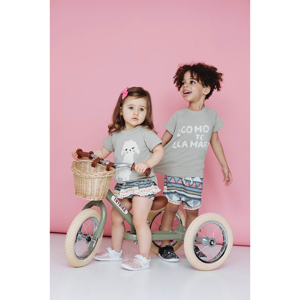 Trybike Tricycle Balance Bike, Vintage Green with Retro Look