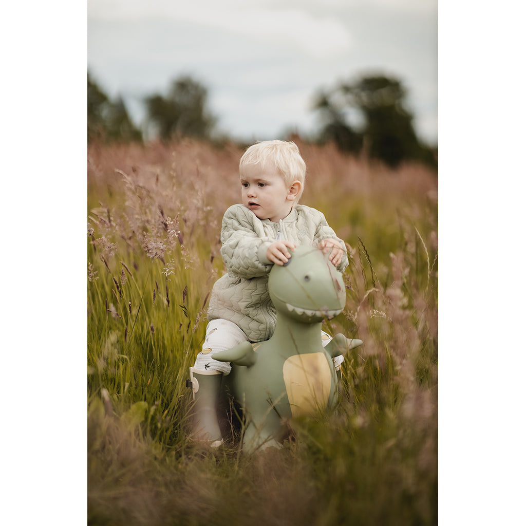 "Find That Hippo: Hoppedyr, Dinoen Dexter"