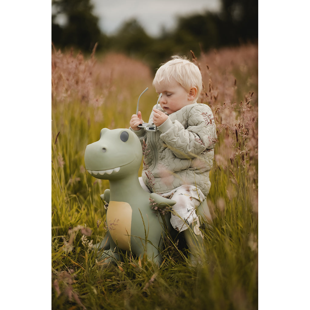 "Find That Hippo: Hoppedyr, Dinoen Dexter"