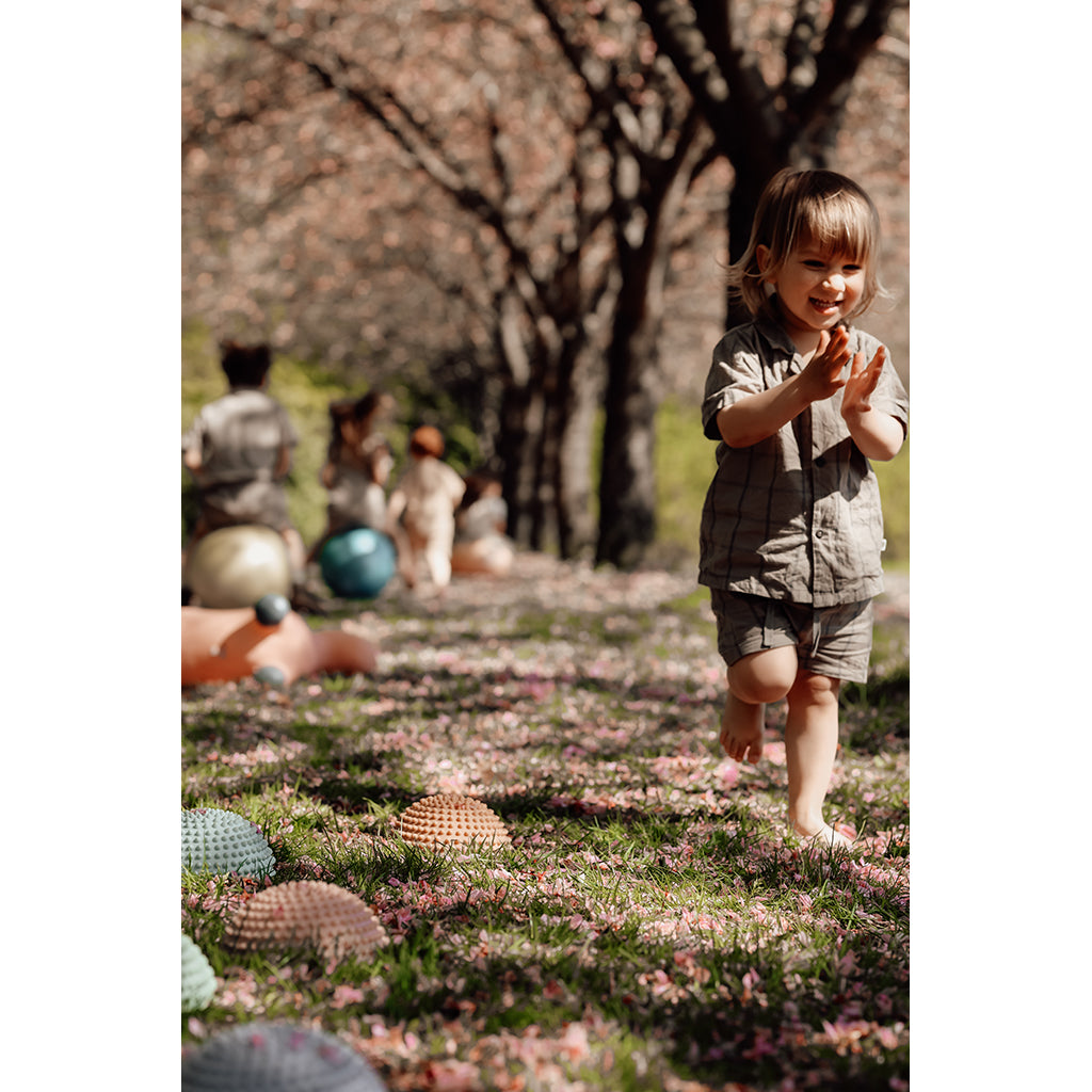 Discover "Find that Hippo," Sansesten Set with 4 Pieces - Sunrise Edition