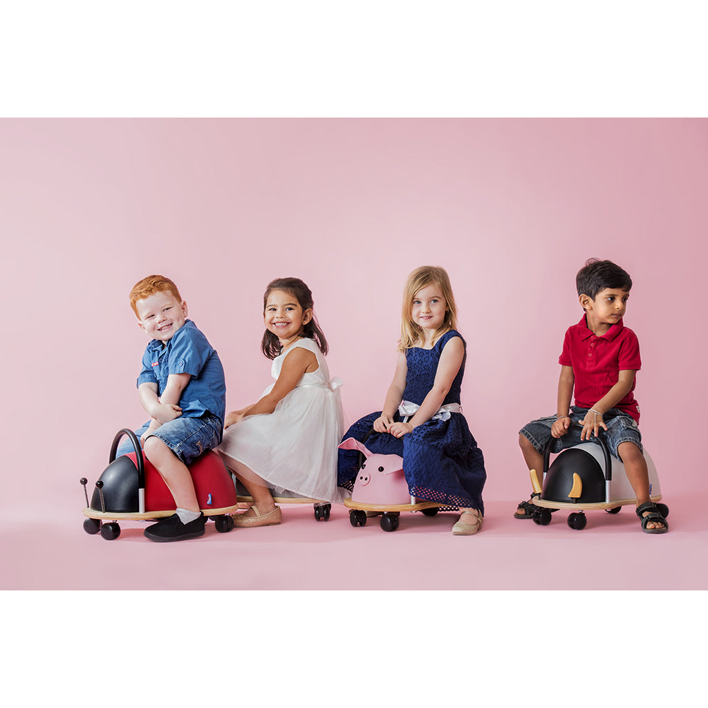 Wheely Bug, Ladybug - Large