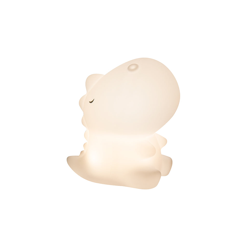 Little L. LED Night Lamp with Remote Control and Multiple Light Settings - Lucca Dino