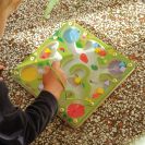 Djeco Magnetic Frog Maze
