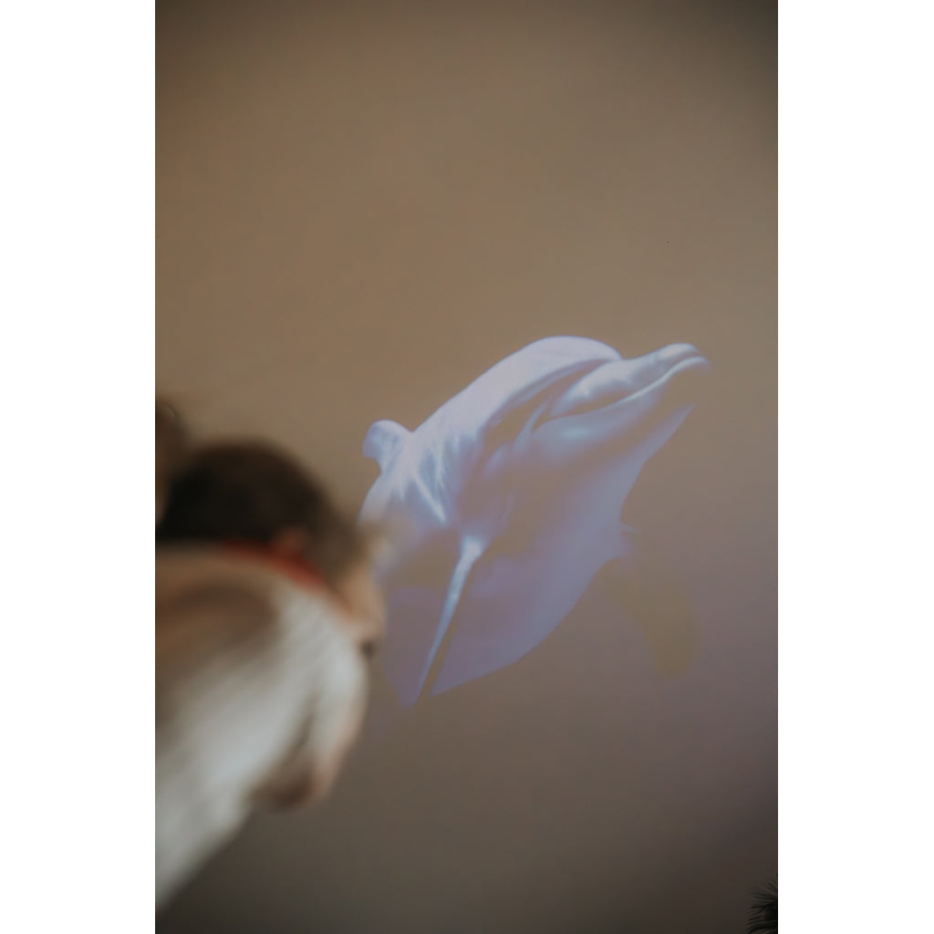 Kidystar, Rotating Image Projector - Ocean/Sea Theme