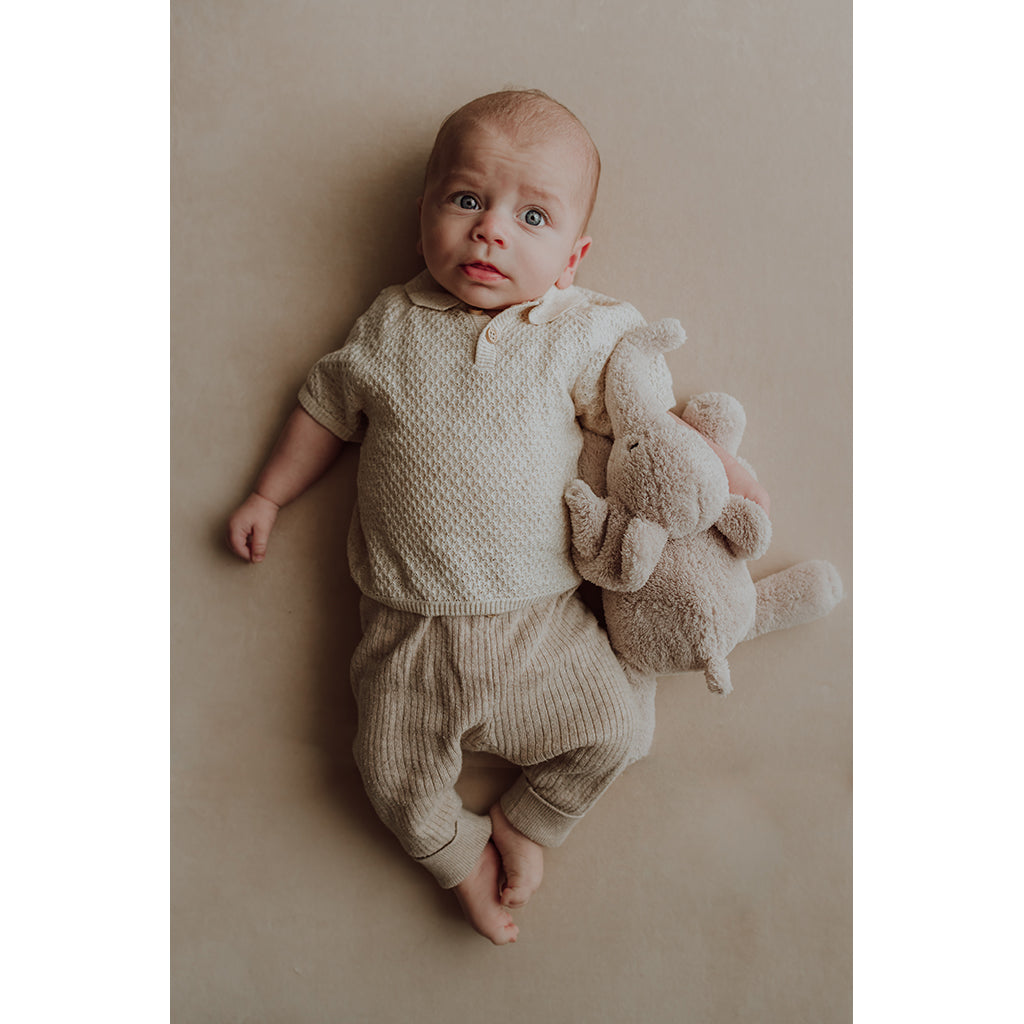 Flow Amsterdam Heartbeat Sound Plush, George the Elephant - Blush