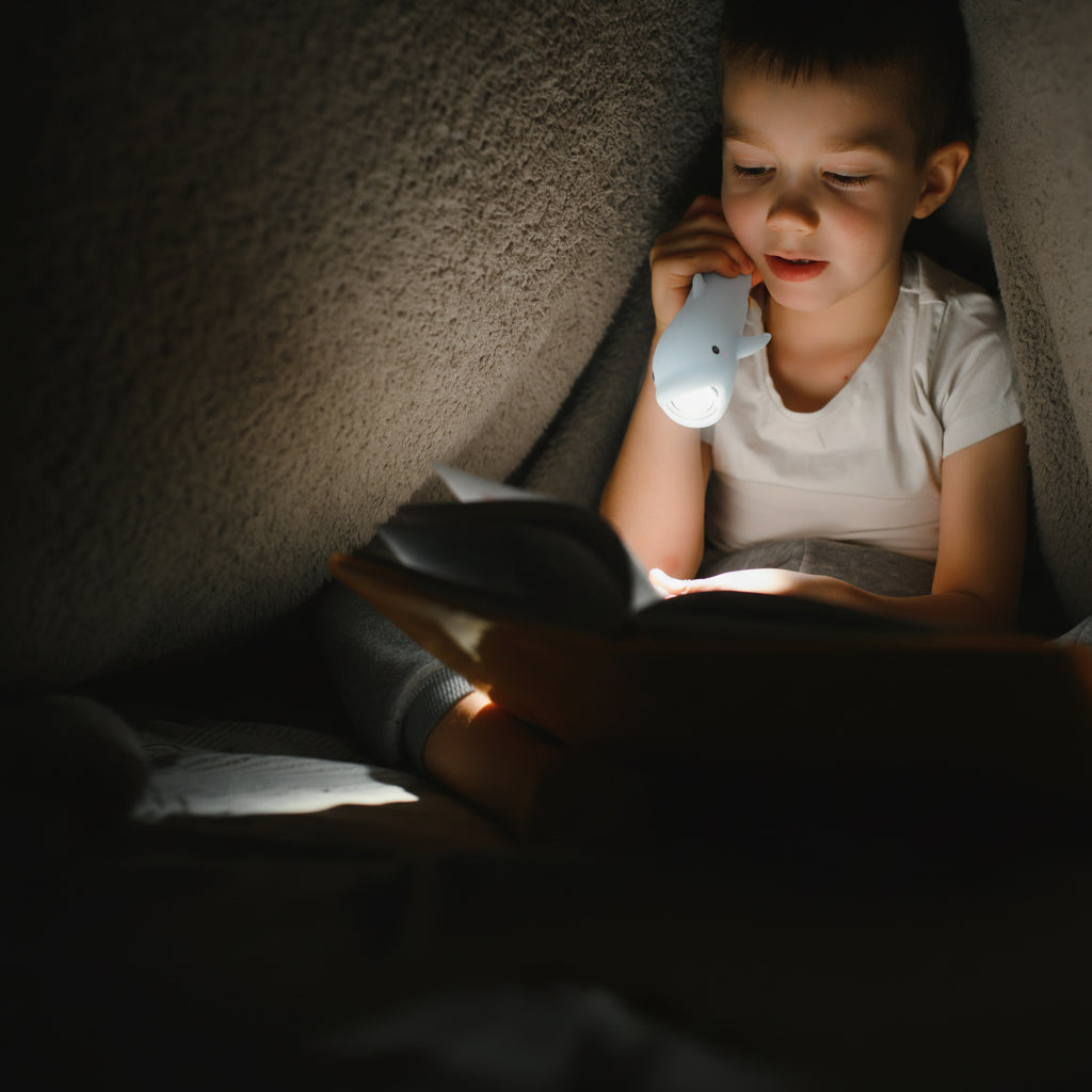Little L, Silicone Flashlight - Dolphin