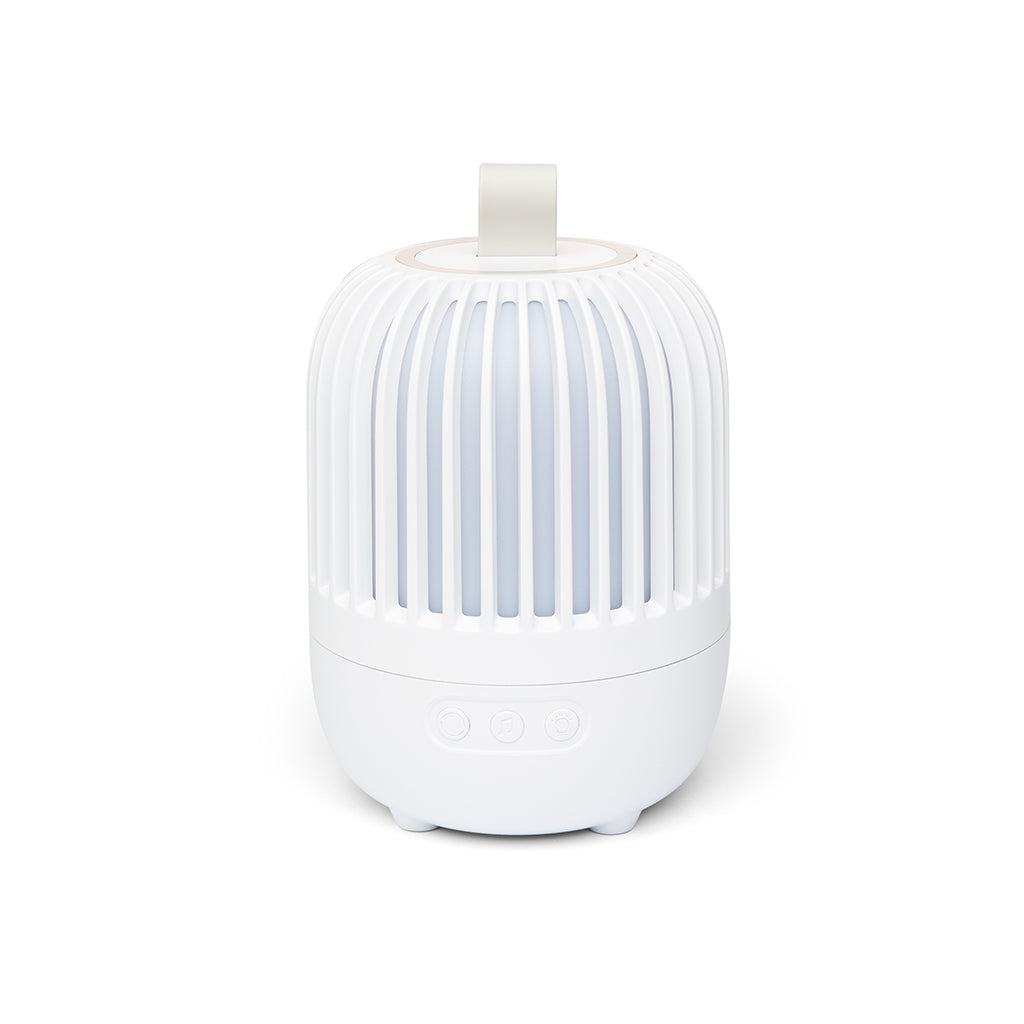 Little L, Light & Music Projector