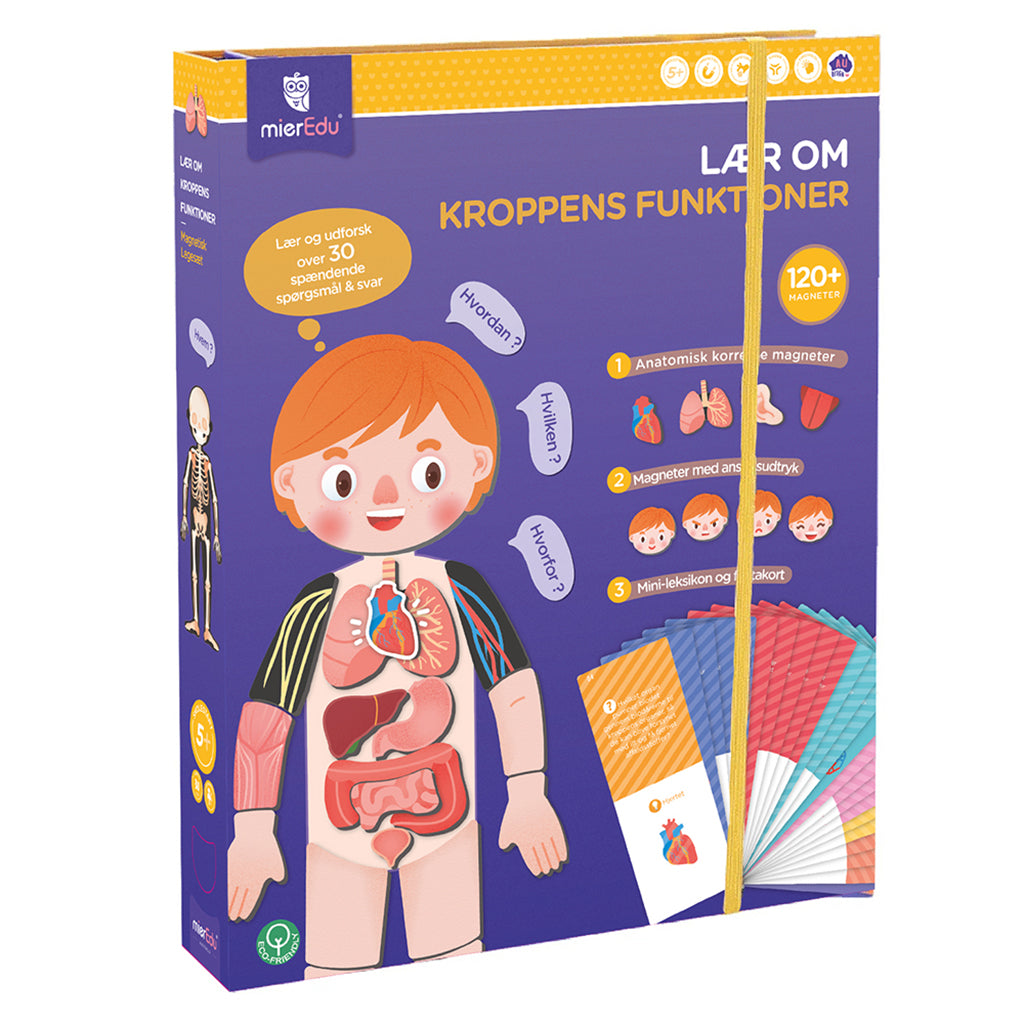 mierEdu, Magnetic Playset - Learn About the Body&