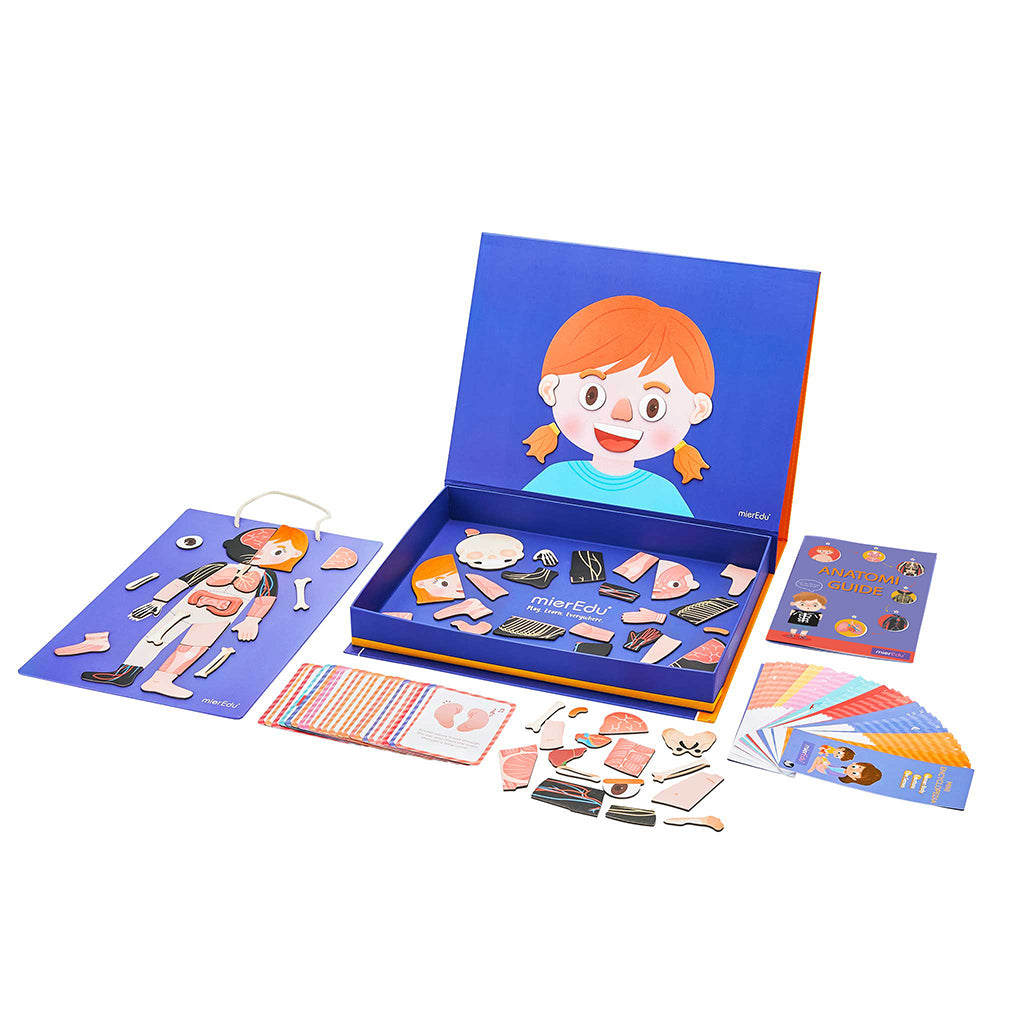 mierEdu, Magnetic Playset - Learn About the Body&