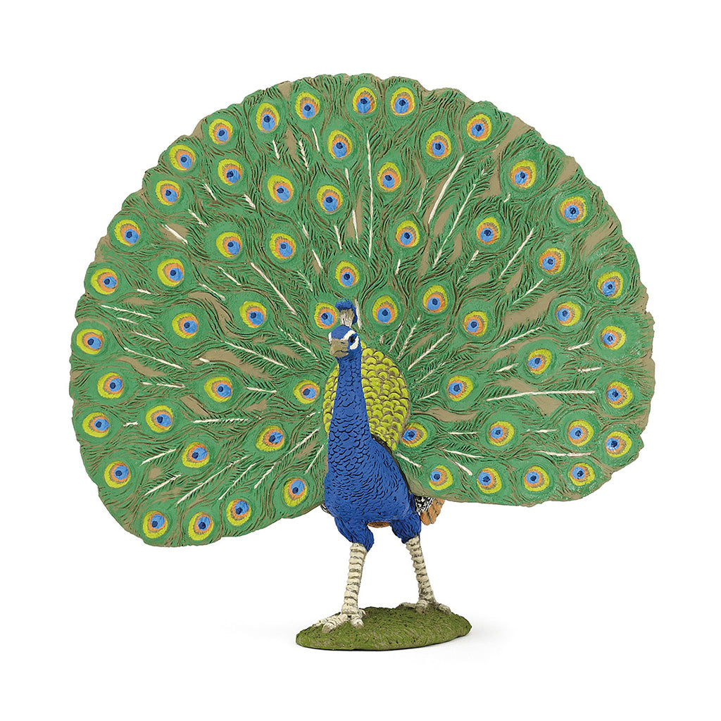 Papo Peacock