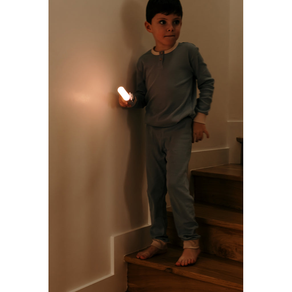 The ZooFamily, Zoo Light, Flashlight - Koala