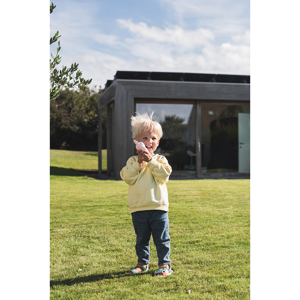 The ZooFamily, Zoo walkie talkie for children, ages 3+ – Dino