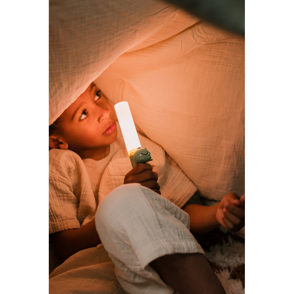 The ZooFamily, Zoo Light, Flashlight - Dino
