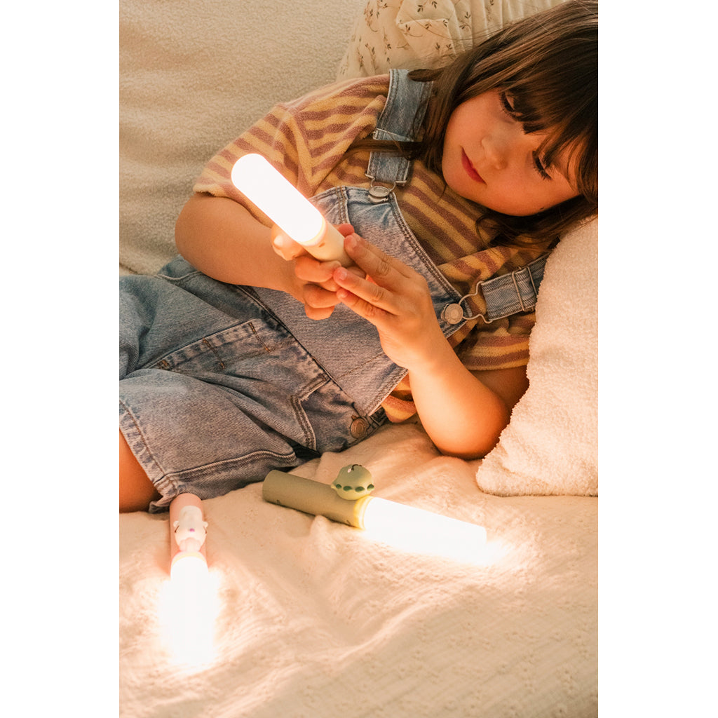 The ZooFamily, Zoo Light, Flashlight - Dino