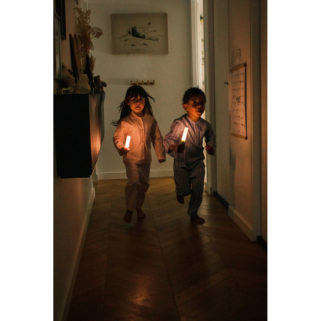 The ZooFamily, Zoo Light, Flashlight - Dino