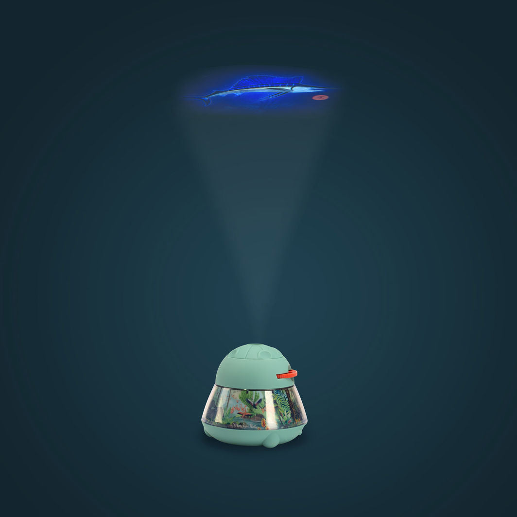 Moulin Roty Projector (Rechargeable), Tout autour du monde