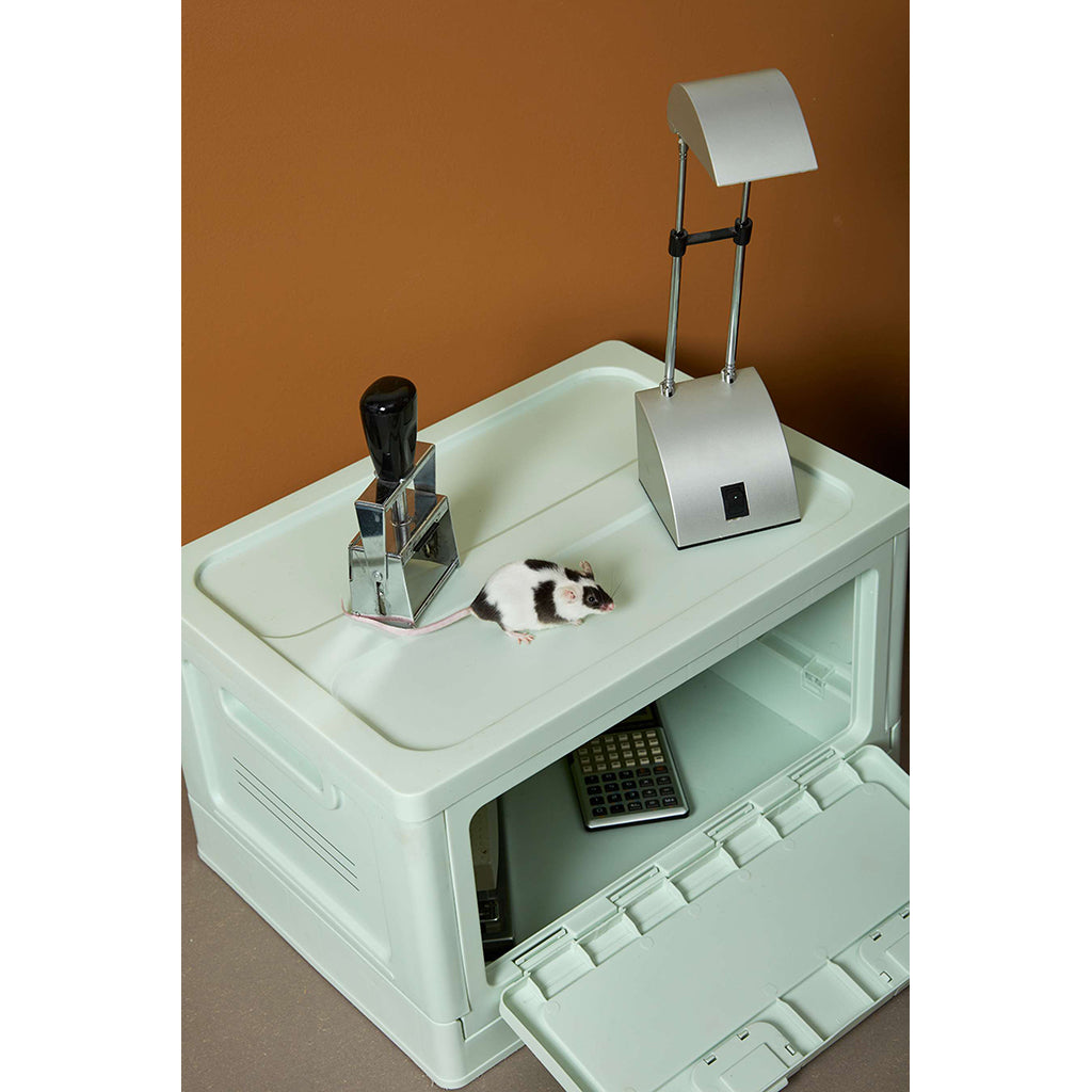 Studio About, Medium Box - Mint