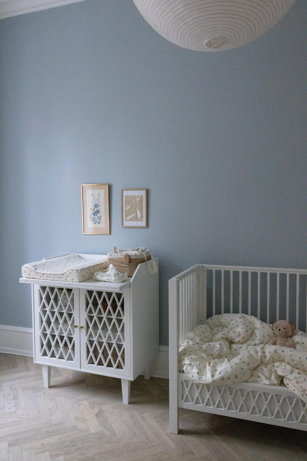 Cam Cam puslekurv, Økologisk, OCS - Blueberries