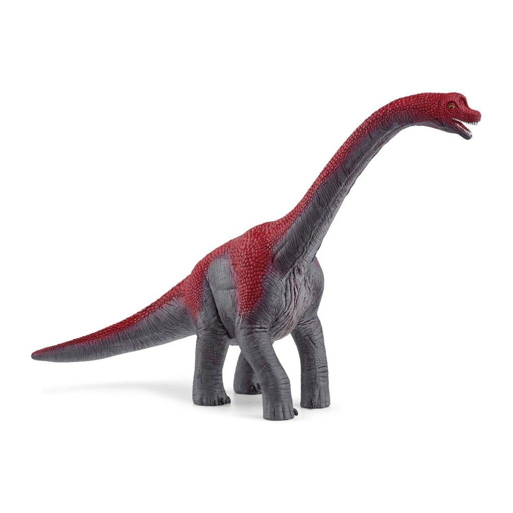 Schleich Dinosaur - Brachiosaurus