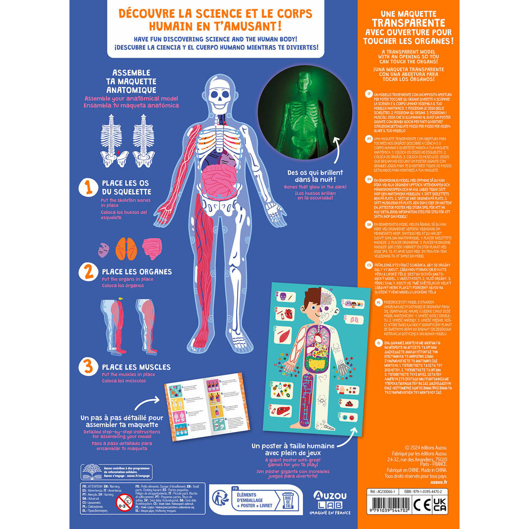 Auzou Activity Box, Exploring the Human Body