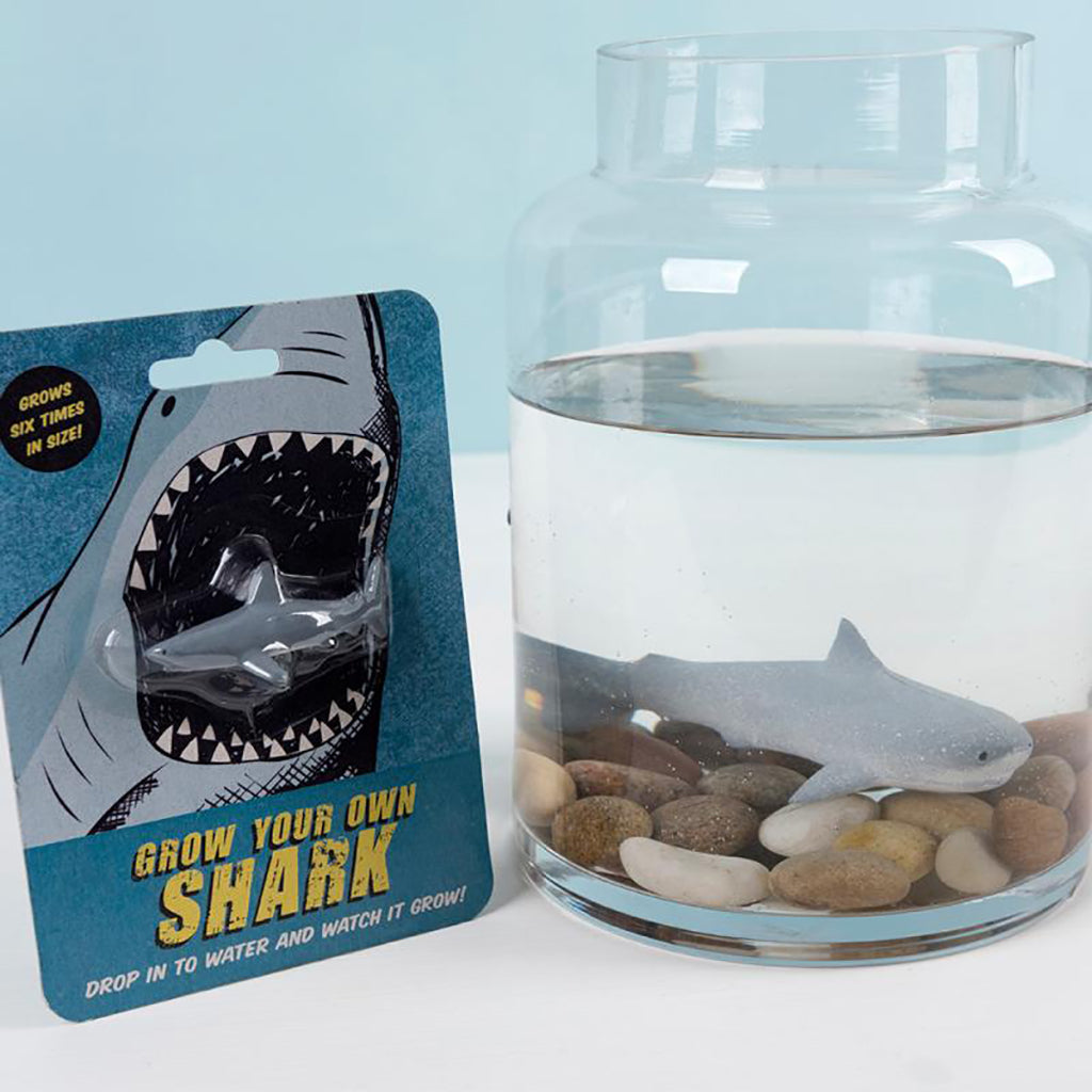 Rex London, Grow Your Own Magic Shark
