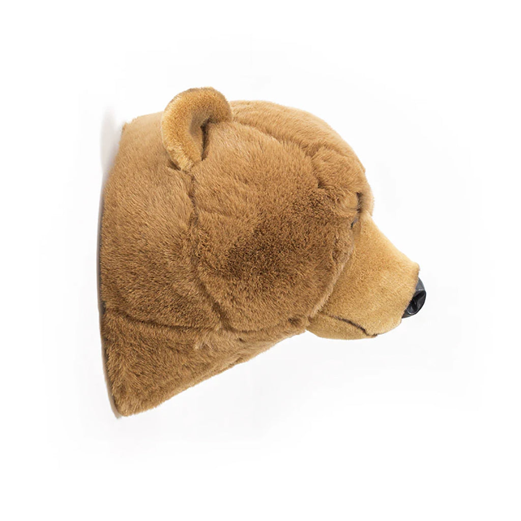 Animal Trophy for the Wall, Bear