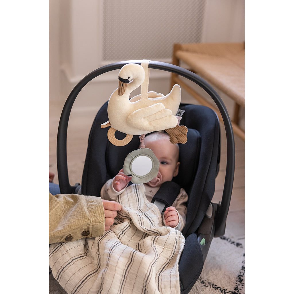 Sebra Activity Toy, Swan