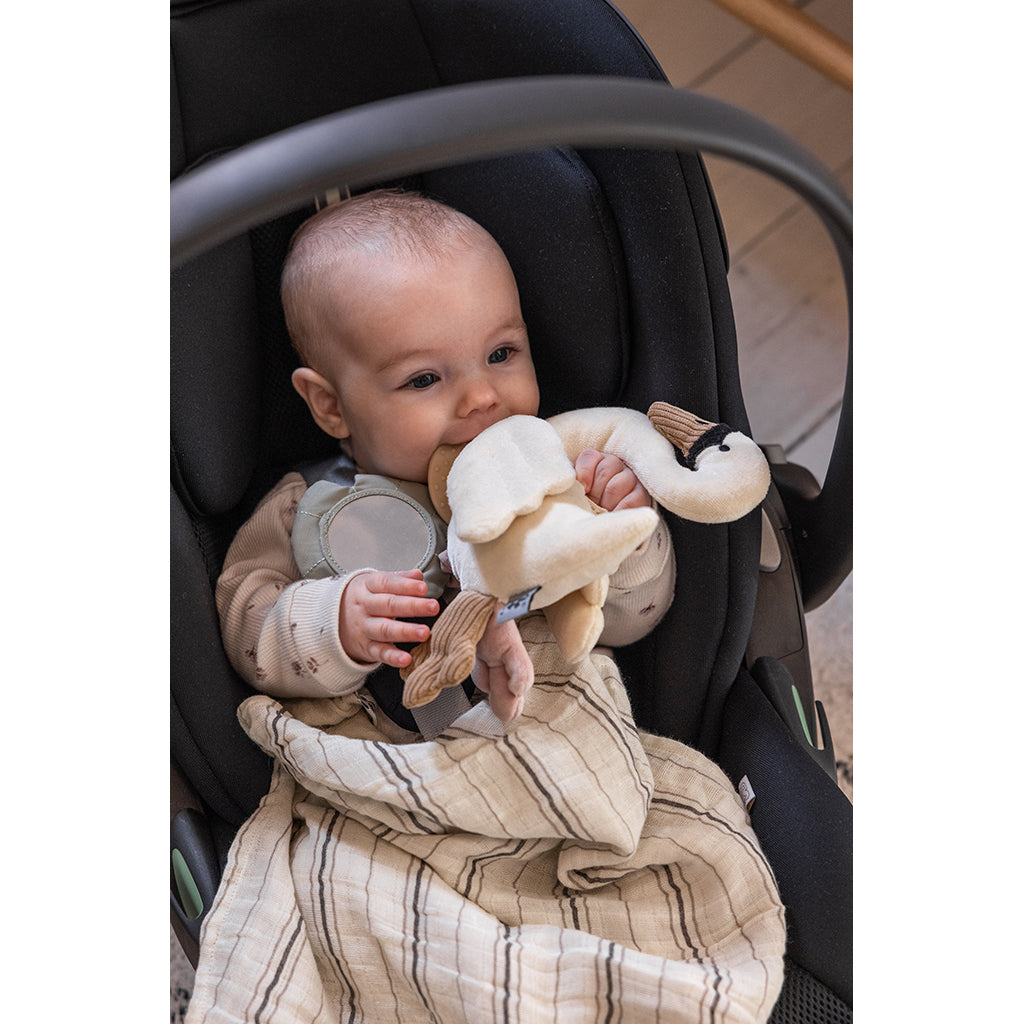 Sebra Activity Toy, Swan