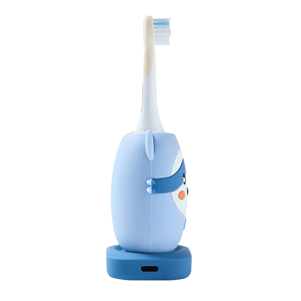 The ZooFamily toothbrush, Raccoon