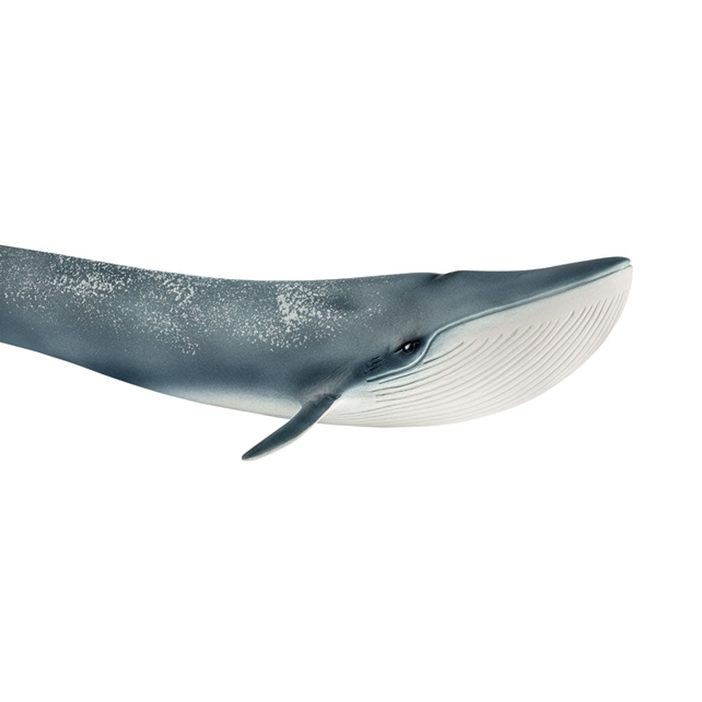 Schleich Blue Whale