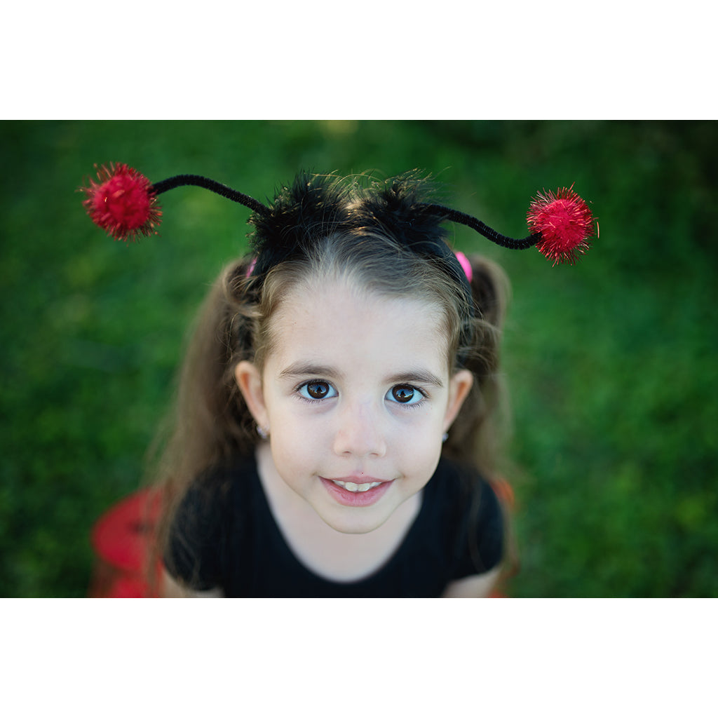 Great Pretenders Dress-Up Costume, Ladybug Set - Size 4-7 Years