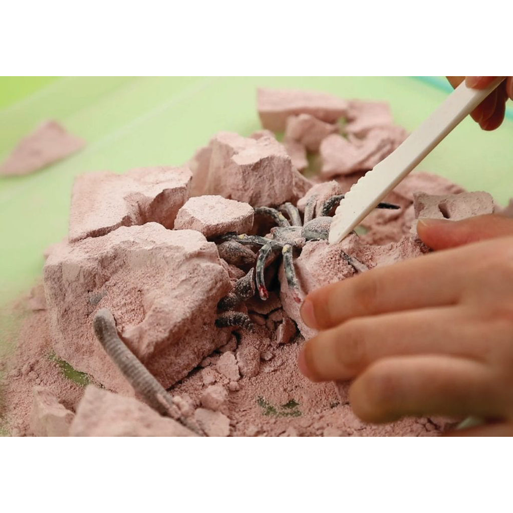 4M KidzLabs Experiment Set - Creepy Crawly Digging Kit