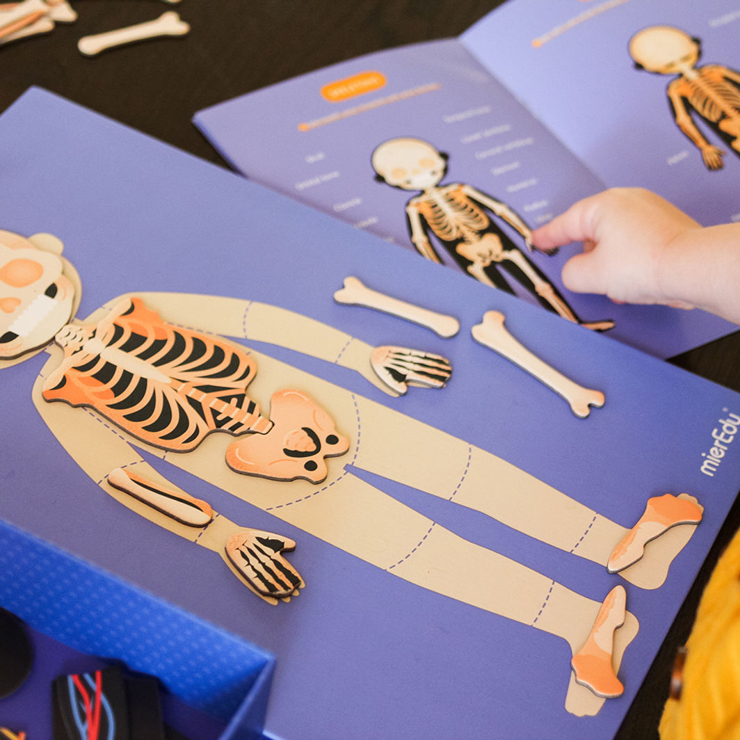 mierEdu, Magnetic Playset - Learn About the Body&