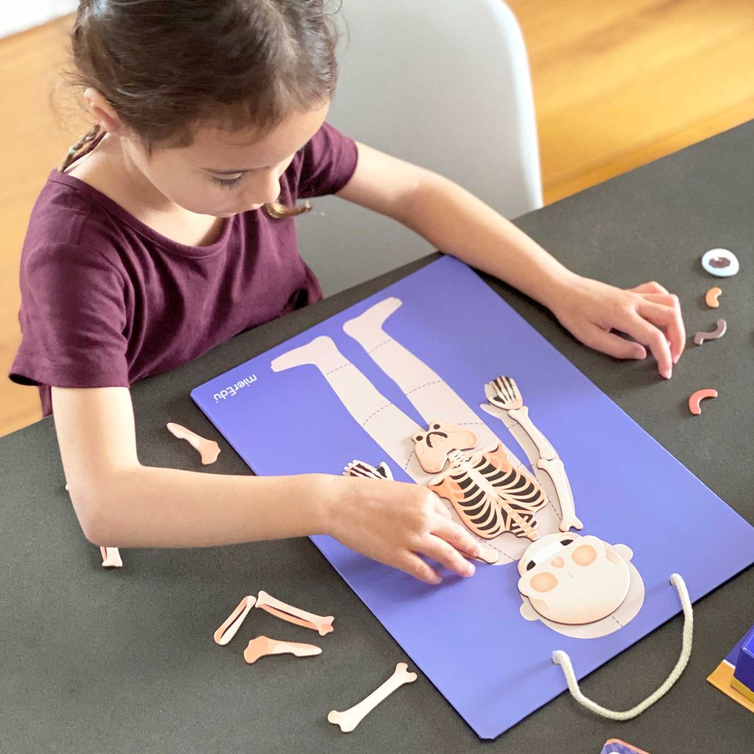 mierEdu, Magnetic Playset - Learn About the Body&