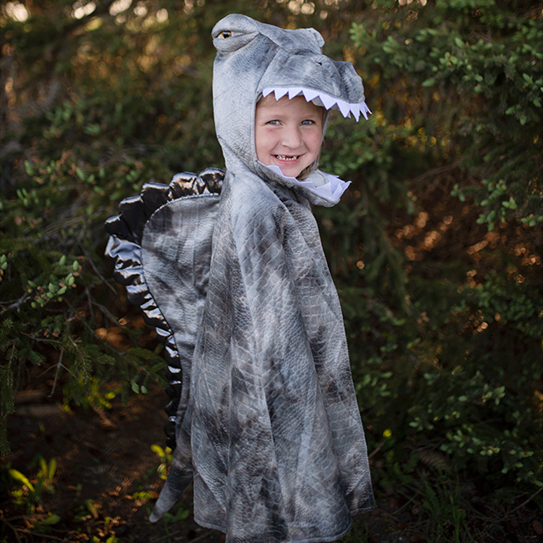 Great Pretenders dyrekostume, Grandasaurus spinosaurus kappe - str. 4-6 år