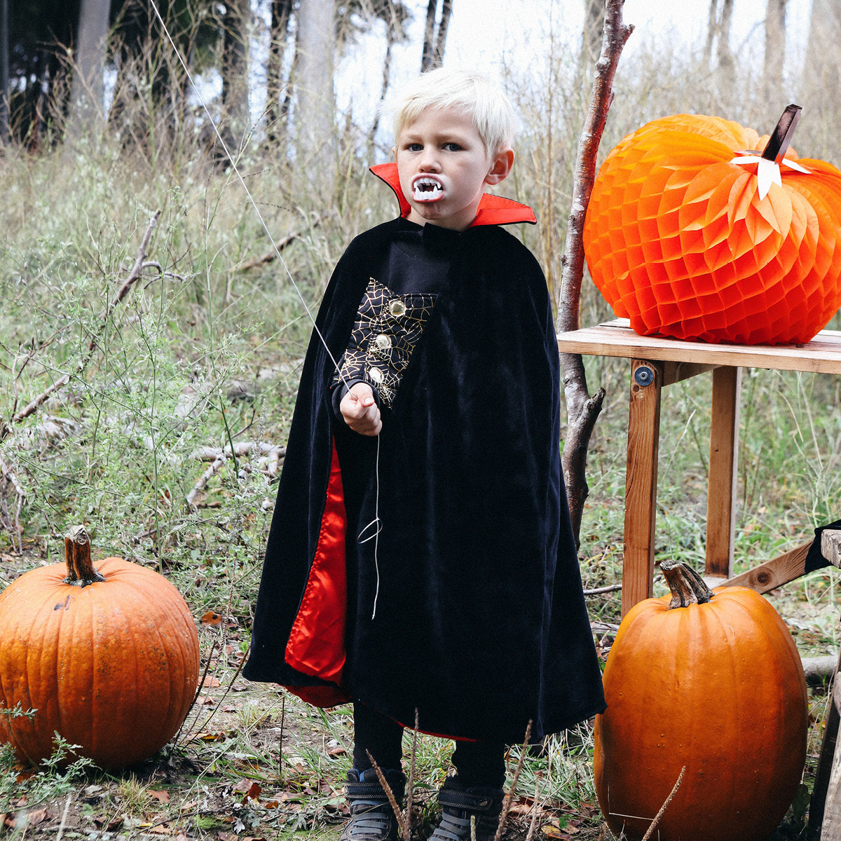 Souza Dracula Cape and Teeth, Size 4-8 Years