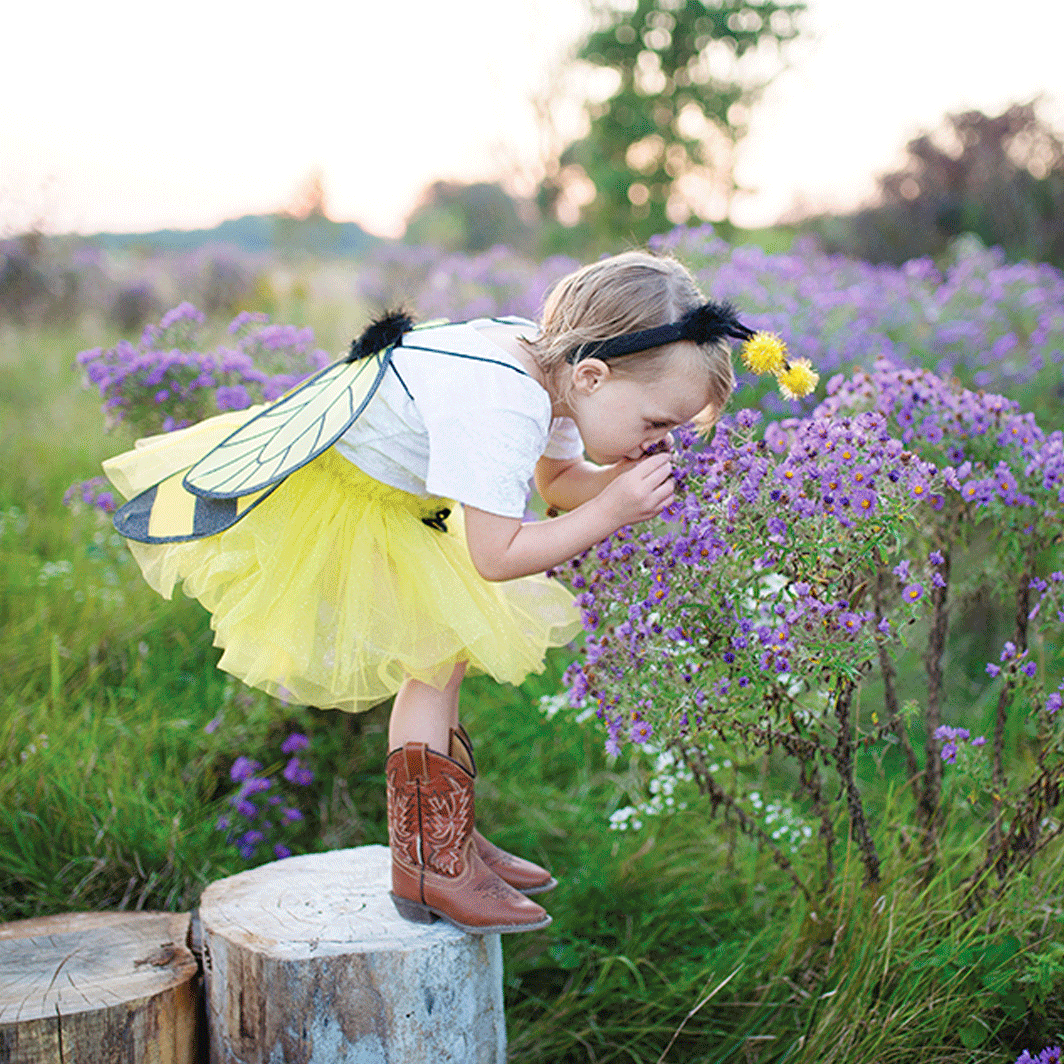 Humlebi udklædningstøj med vinger fra Great Pretenders