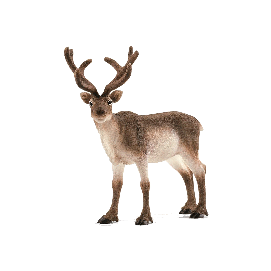 Schleich Wild Life, Rensdyr