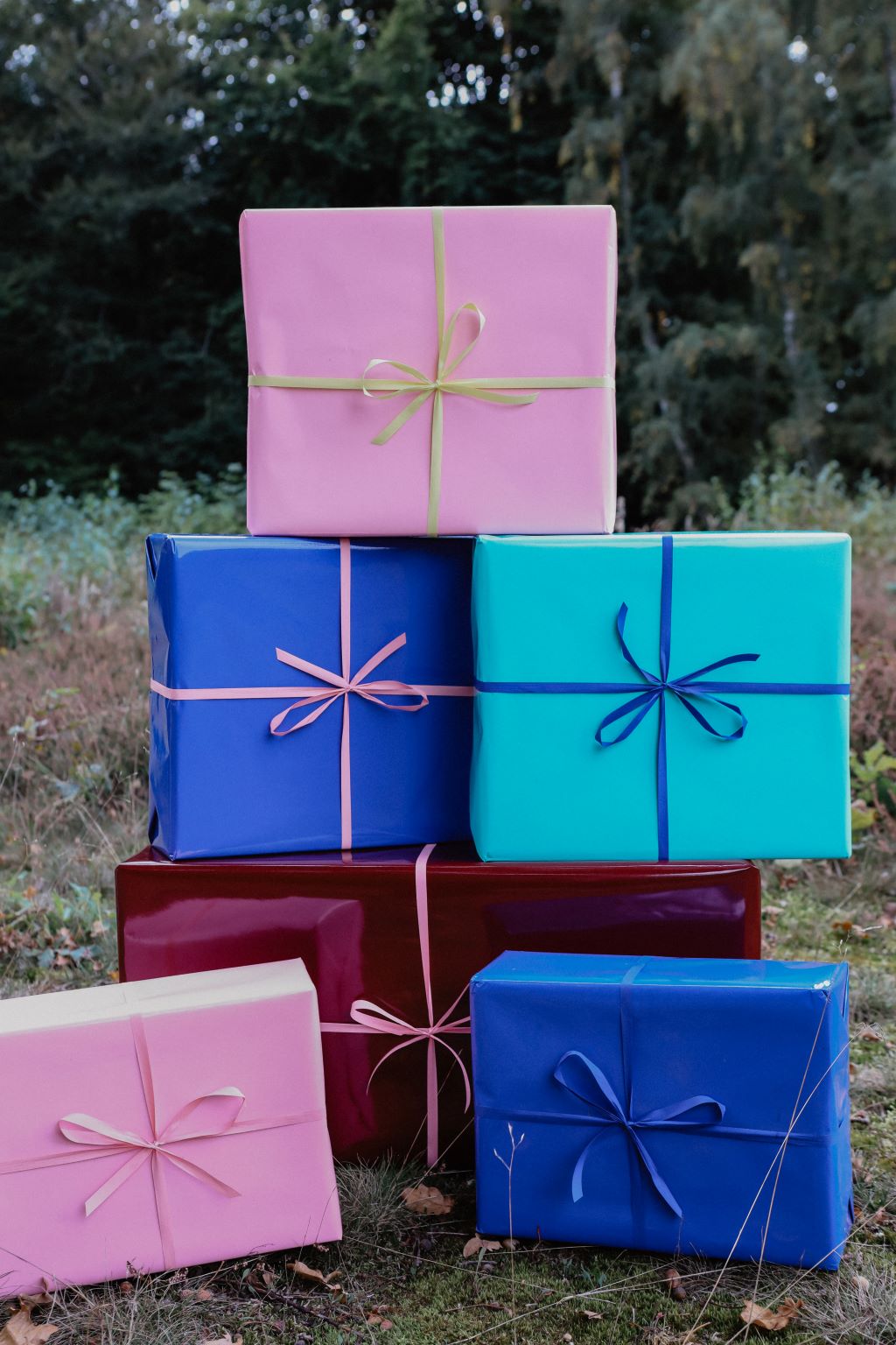 Gaveforslag dreng 5 år