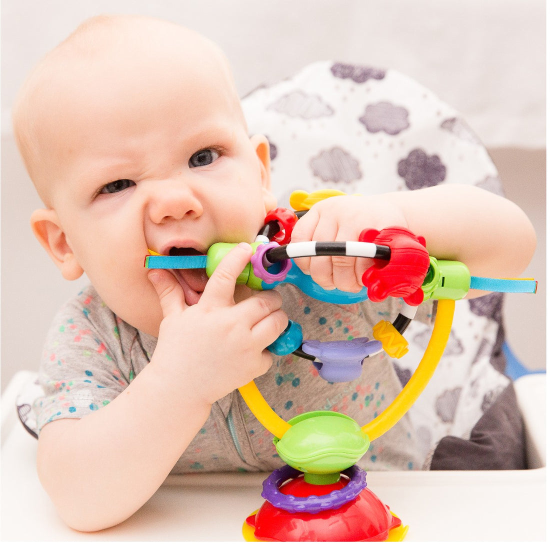 Playgro Activity Toy with Suction Cup