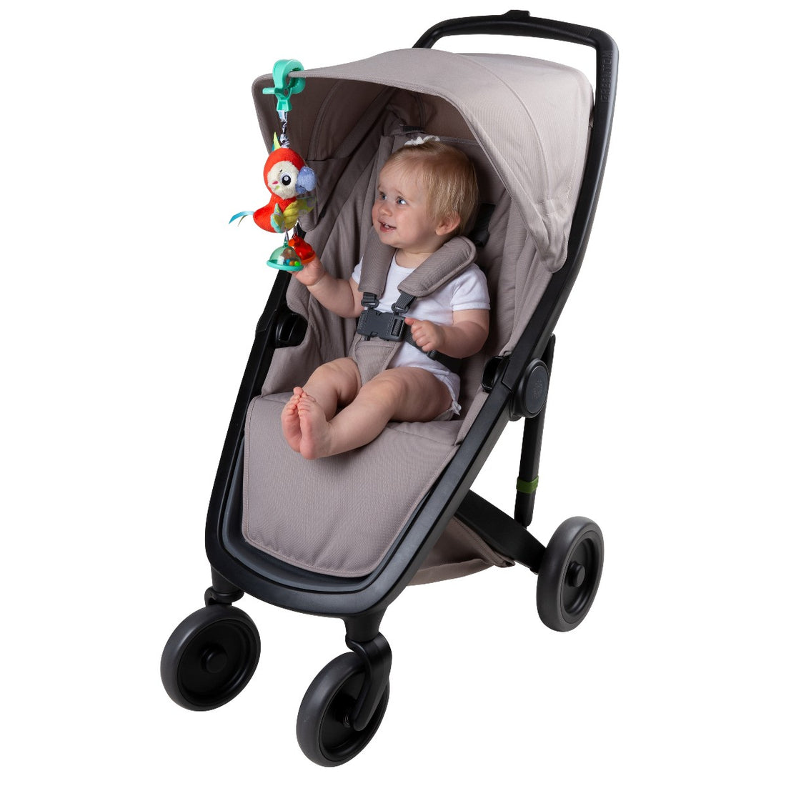 Playgro Activity Toy, Dingly Dangly Hanging - Bird