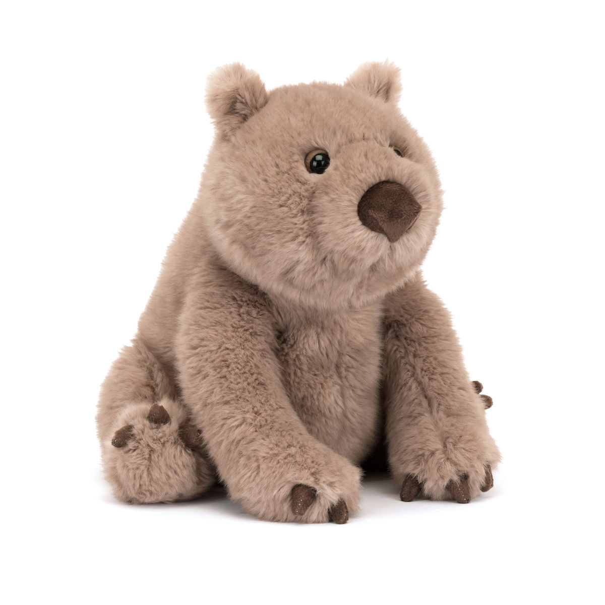 Jellycat Plush Toy, Jungle - Wonda Wombat - 23 cm