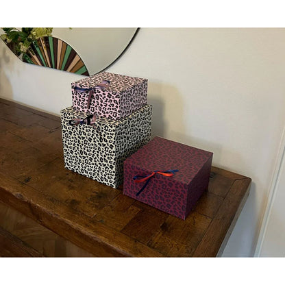 Daisy Boxes, Big Box – Leo Black/Yellow